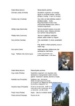 Konspekts 'Pelēkais vilks un parastā priede', 1.