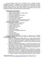 Referāts 'Mācīšanās stili saskaņā ar A.Kolba teoriju', 5.