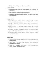 Konspekts 'Scenārijs Helovīnam "Spocīgo draugu ballīte" 1 – 4 klasei / bērnudārzam', 13.