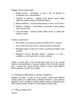 Konspekts 'Scenārijs Helovīnam "Spocīgo draugu ballīte" 1 – 4 klasei / bērnudārzam', 19.