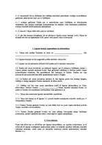 Paraugs 'Īres līgums', 3.