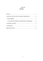 Referāts 'Mediju brīvības aizsardzība Latvijas nacionālajos tiesību aktos. Gadījuma analīz', 2.