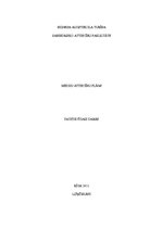 Paraugs 'Mediju attiecību plāns', 1.