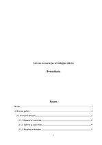 Referāts 'Bronzēšana', 1.