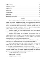 Referāts 'Bronzēšana', 2.