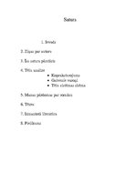 Referāts 'Referāts par Viļa Lācīša grāmatu "Stroika ar skatu uz Londonu"', 2.