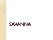 Prezentācija 'Savanna', 1.