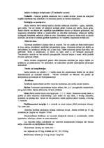 Konspekts 'Akūts trahejas iekaisums', 1.