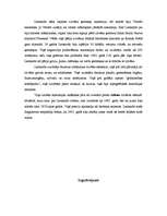 Referāts 'Leonardo da Vinči', 14.