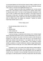 Referāts 'Islams', 7.