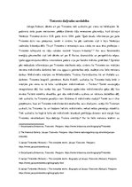 Referāts 'Tintoreto daiļrades savdabība', 1.