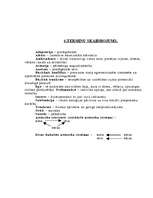 Referāts 'Vecāku konfliktu un šķiršanās ietekme uz pirmsskolas vecuma bērna personības att', 23.