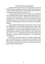 Referāts 'Gāzes vadu aizsardzība pret koroziju', 13.