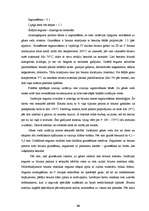 Referāts 'Gāzes vadu aizsardzība pret koroziju', 16.