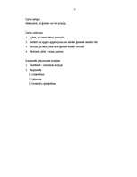 Referāts 'Laimīgas ģimenes modelis', 2.