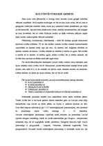 Referāts 'Kulta akmeņi Latvijā - to īpatnības, simbolika un svētzīmes', 3.