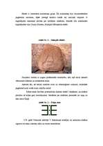 Referāts 'Kulta akmeņi Latvijā - to īpatnības, simbolika un svētzīmes', 5.