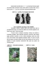 Referāts 'Kulta akmeņi Latvijā - to īpatnības, simbolika un svētzīmes', 6.