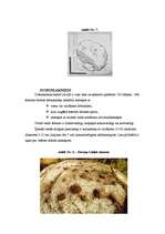 Referāts 'Kulta akmeņi Latvijā - to īpatnības, simbolika un svētzīmes', 7.