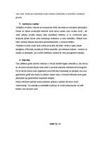 Referāts 'Kulta akmeņi Latvijā - to īpatnības, simbolika un svētzīmes', 11.