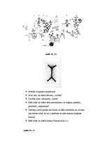Referāts 'Kulta akmeņi Latvijā - to īpatnības, simbolika un svētzīmes', 12.