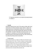 Referāts 'Kulta akmeņi Latvijā - to īpatnības, simbolika un svētzīmes', 13.