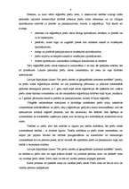 Referāts 'Preču zīme', 9.