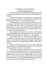 Prakses atskaite 'Prakses atskaite tirgzinībās', 7.