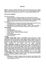 Konspekts 'Enurēze', 1.