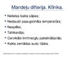Prezentācija 'Angīnu diferenciāldiagnostika: angīna/difterija', 17.