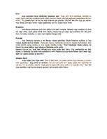 Referāts 'Aijas tēla analīze J.Jaunsudrabiņa darbā "Aija"', 4.