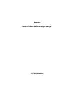 Referāts 'Makss Vēbers un birokrātijas teorija', 1.