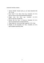 Referāts 'Makss Vēbers un birokrātijas teorija', 11.