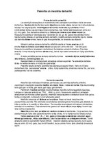 Konspekts 'Antropoģenēze. Paleolīts, mezolīts', 5.