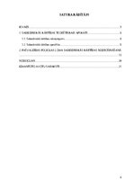 Referāts 'Pašvaldības policijas loma sabiedriskās kārtības nodrošināšanā', 4.