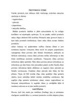 Referāts 'Apple Talk tīkla arhitektūra', 4.