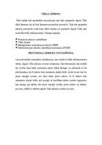 Referāts 'Apple Talk tīkla arhitektūra', 6.