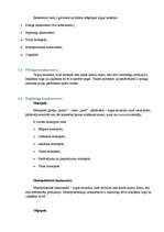 Referāts 'Reklāmas loma dažādos tirgus modeļos', 5.