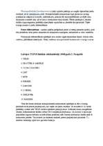 Referāts 'Reklāmas loma dažādos tirgus modeļos', 7.