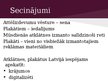 Prezentācija 'Attēlu izdevumi - plakāti, atklātnes', 24.