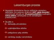 Prezentācija 'Nodarbinātība un sociālā politika', 7.