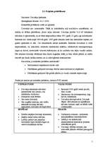 Referāts 'Projekts "Dzīvokļa remonts"', 5.