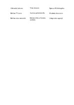 Paraugs 'Galamērķi, tūrisms', 3.