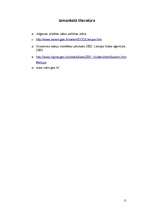 Referāts 'Lielupes kvalitāte', 11.