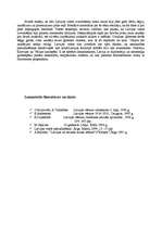 Referāts 'Neatkarīgas Latvijas valsts izveidošana', 9.