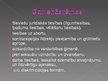 Prezentācija 'Feminisms', 4.