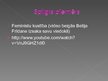 Prezentācija 'Feminisms', 5.