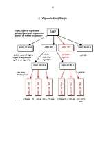 Referāts 'Cigarešu klasifikācija Latvijas kombinētajā nomenklatūrā', 20.