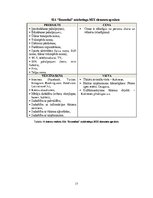 Biznesa plāns 'Biznesa plāns', 17.