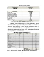 Biznesa plāns 'Biznesa plāns', 20.